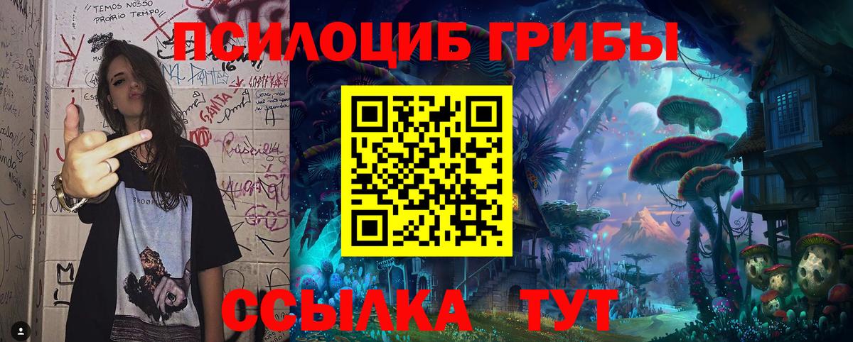 Калининград  Галлюциногенные грибы Magic Shrooms  наркошоп  Вход с VPN 